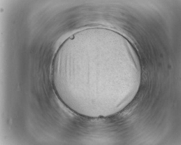 X0000088841535200707051435