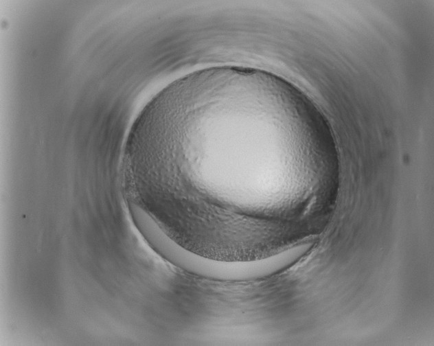 X0000088841536200707051435