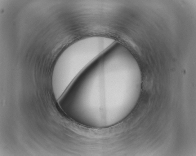 X0000088850027200706080737