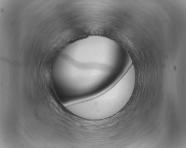 X0000088850039200706080736
