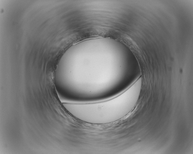 X0000088850045200706080736