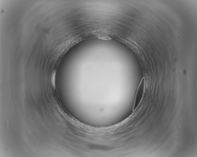 X0000088850047200706080736
