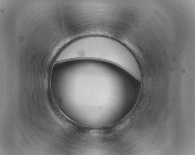X0000088850064200706080736