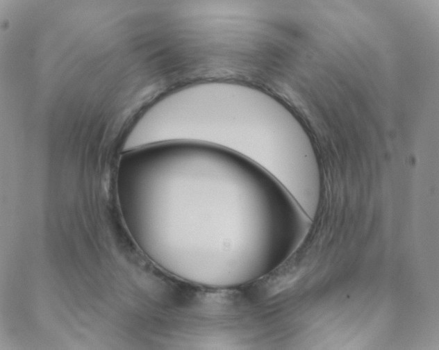 X0000088850072200706080736