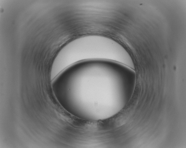 X0000088850076200706080736
