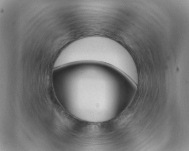 X0000088850080200706080736