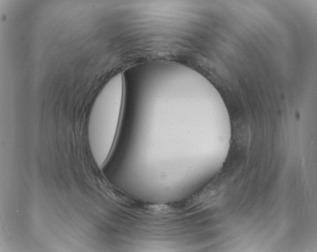 X0000088850087200706080736