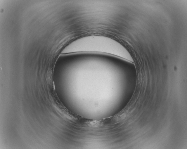 X0000088850092200706080736