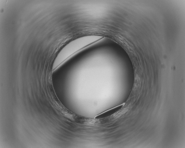 X0000088850096200706080736