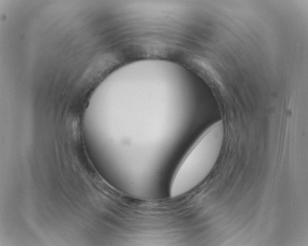X0000088850123200706080735