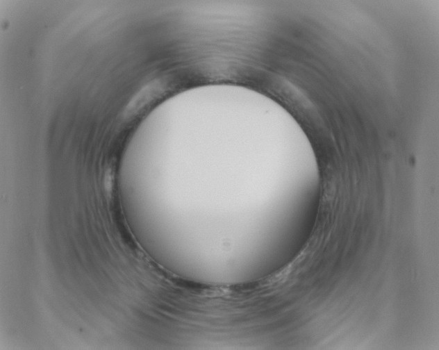 X0000088850124200706080735