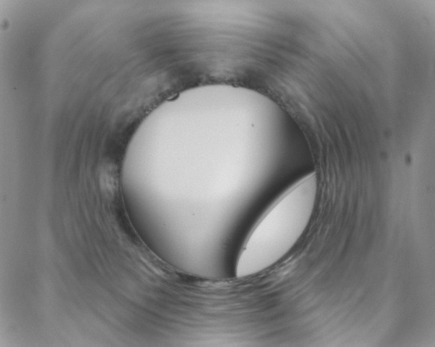 X0000088850135200706080735