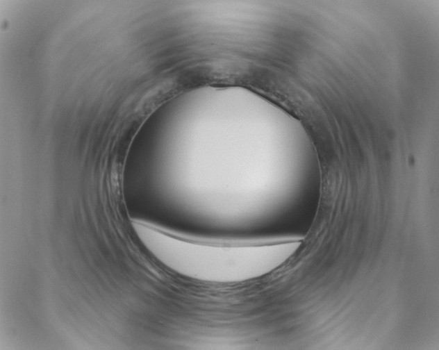 X0000088850137200706080735