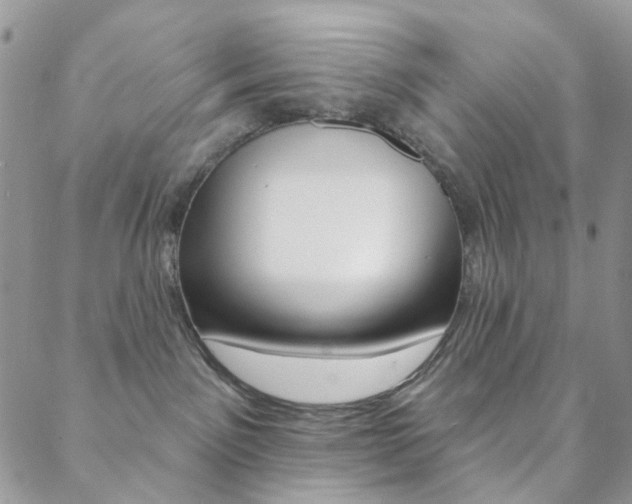 X0000088850141200706080735