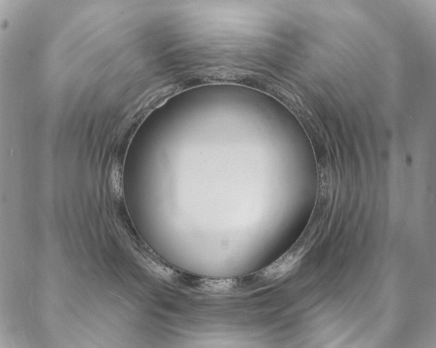 X0000088850143200706080735