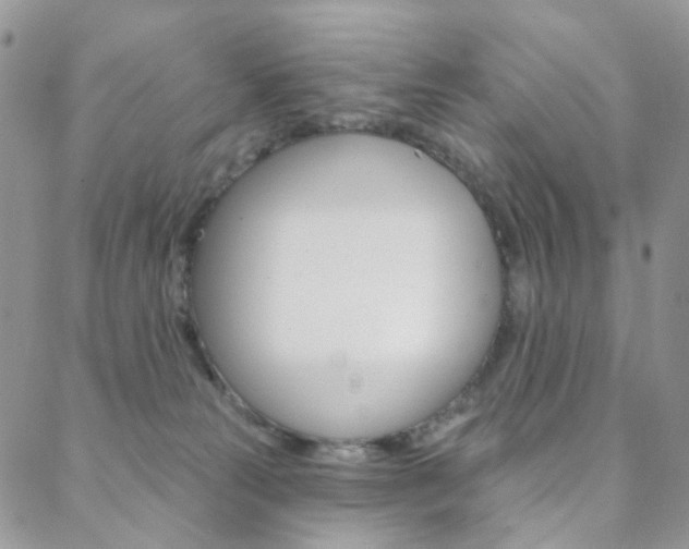 X0000088850181200706080735