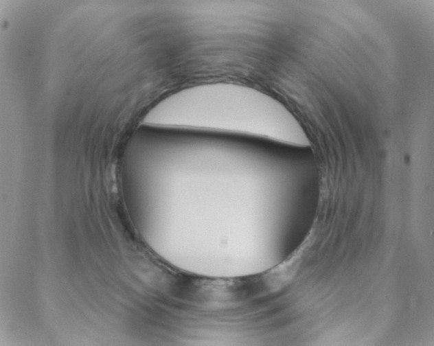 X0000088850182200706080735