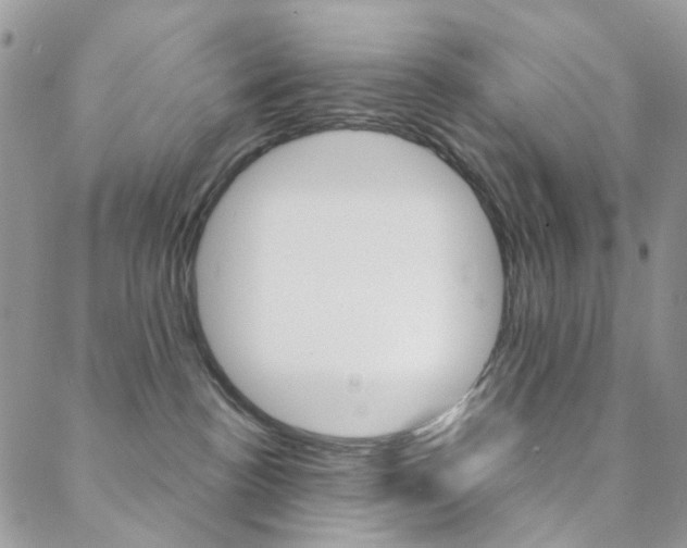 X0000088850188200706080735