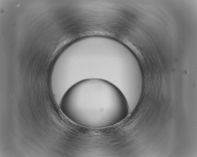 X0000088850207200706080734