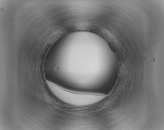 X0000088850217200706080734