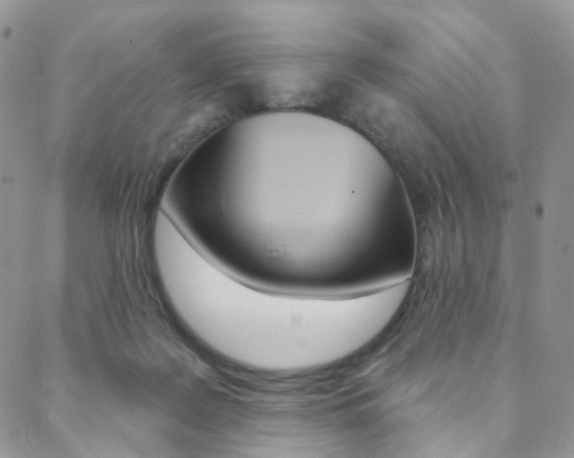 X0000088850219200706080734