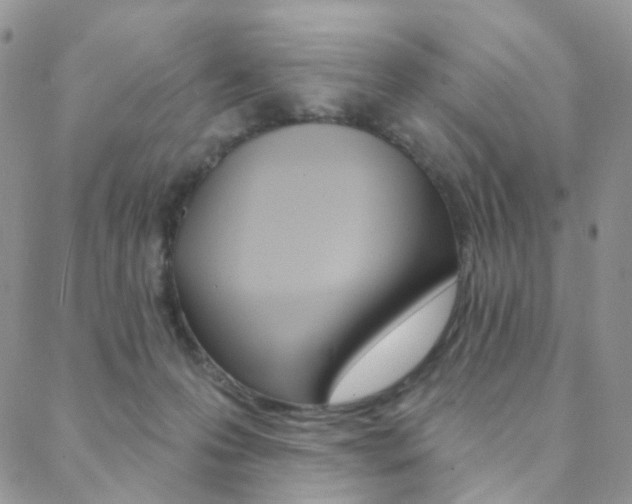 X0000088850223200706080733