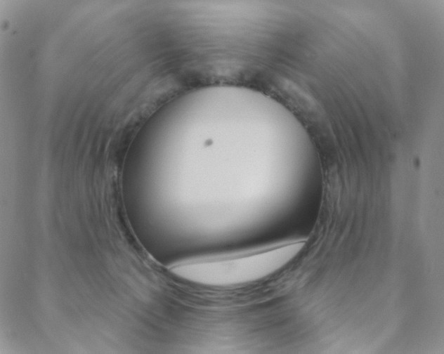 X0000088850225200706080733