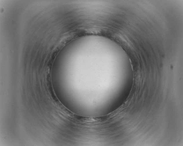 X0000088850229200706080733