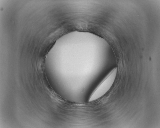 X0000088850233200706080733