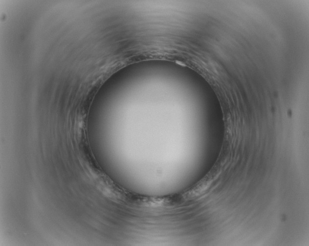 X0000088850235200706080733