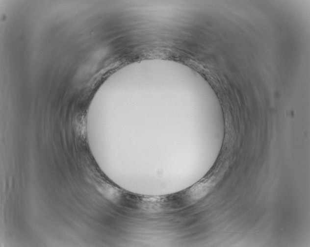 X0000088850240200706080733