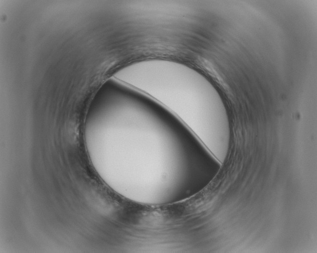 X0000088850259200706080733