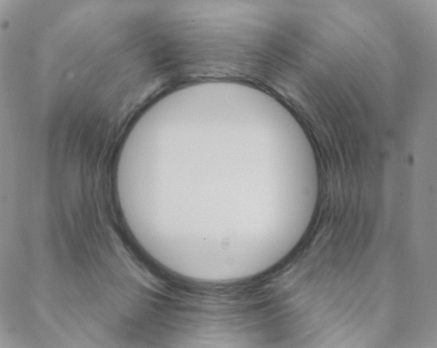 X0000088850264200706080733