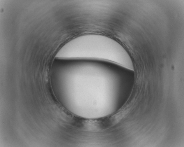 X0000088850273200706080733