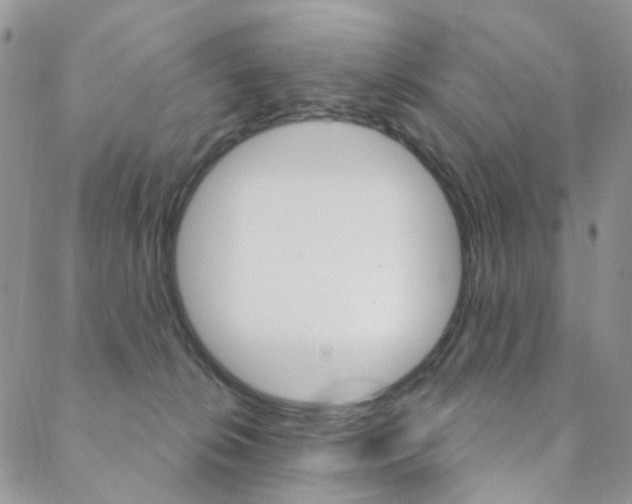 X0000088850276200706080733