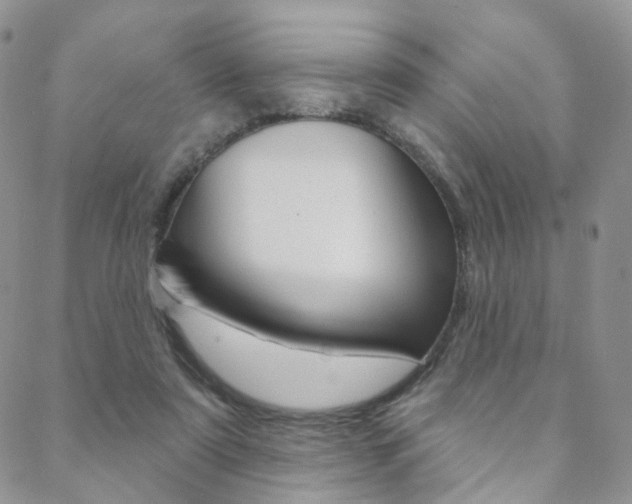 X0000088850307200706080732