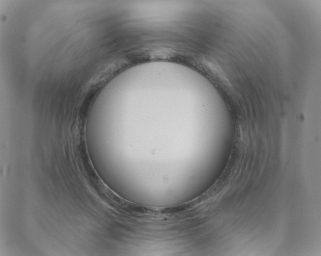 X0000088850311200706080732