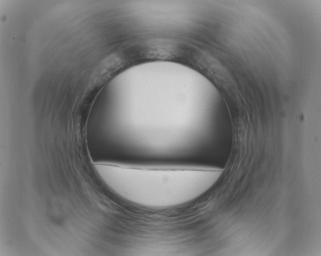 X0000088850312200706080732