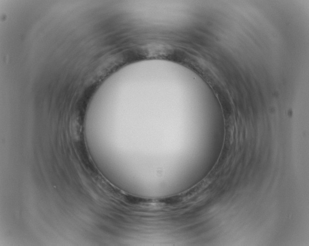 X0000088850316200706080732