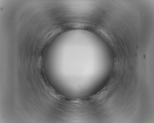 X0000088850325200706080732