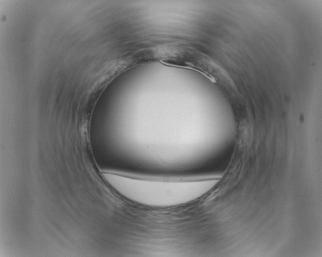 X0000088850329200706080732