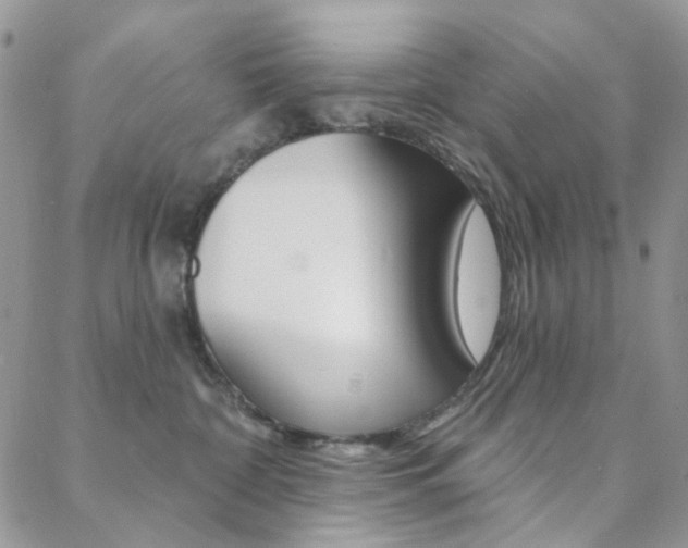 X0000088850332200706080732