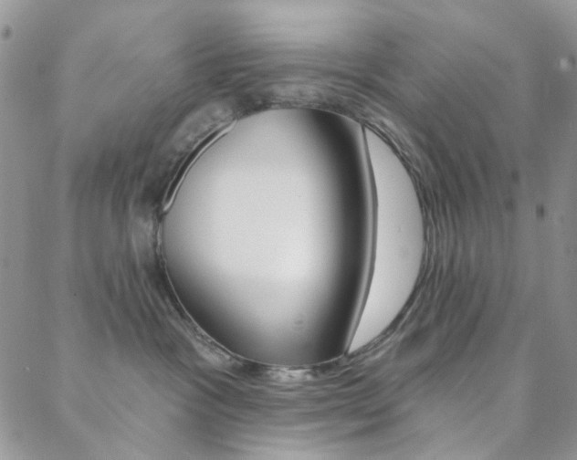 X0000088850333200706080732