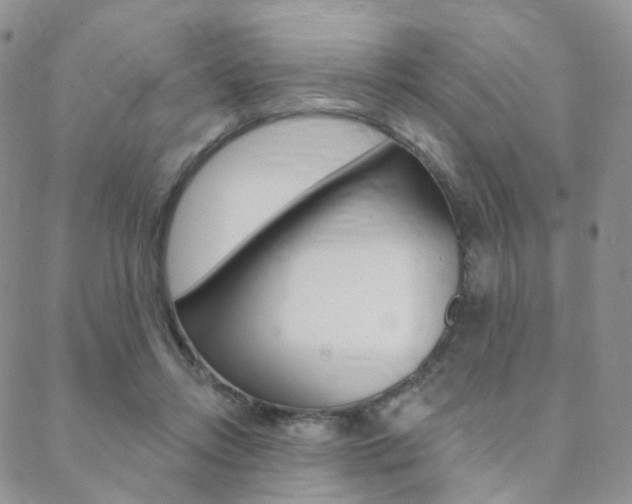 X0000088850358200706080731