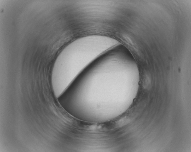 X0000088850366200706080731