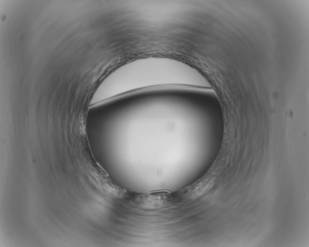 X0000088850384200706080732