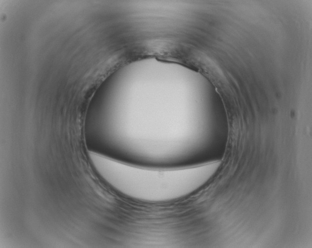 X0000088850413200706080730