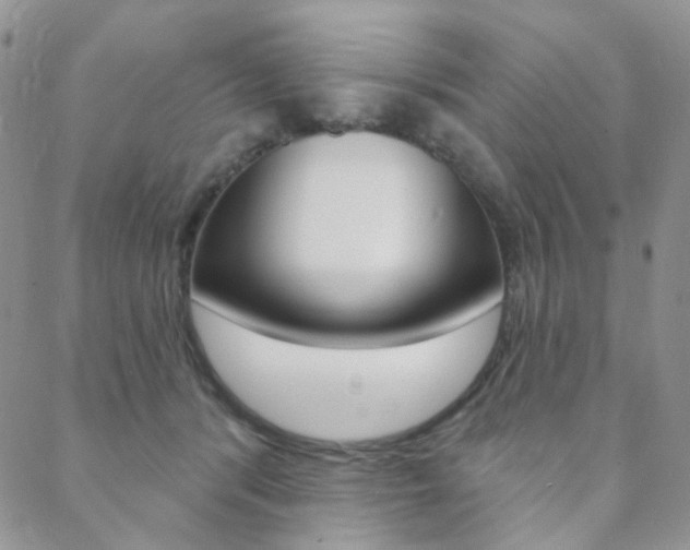 X0000088850416200706080730