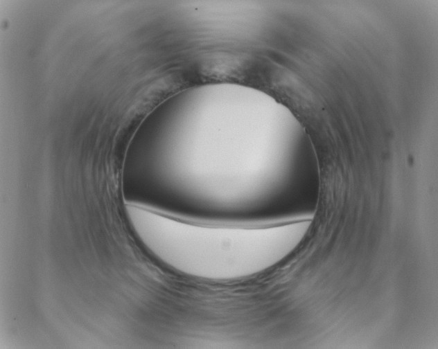 X0000088850420200706080730