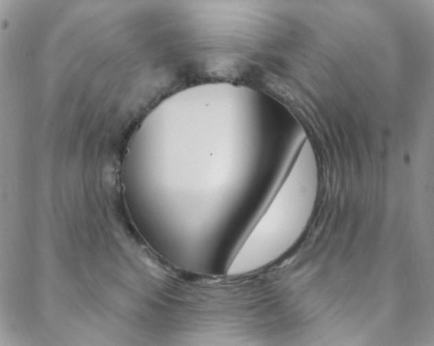 X0000088850424200706080730